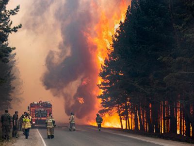Лесные пожары в России. Фото: Максим Слуцкий / AP