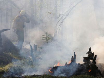 Последствия лесных пожаров в Якутии в 2021 году. Фото: пресс-служба ФБУ "Авиалесоохрана"