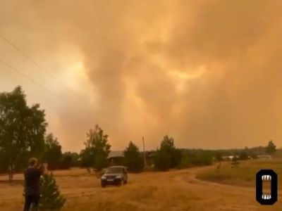 Лесной пожар в деревне Ольгино Рязанской области. Фото: Осторожно новости / Telegram